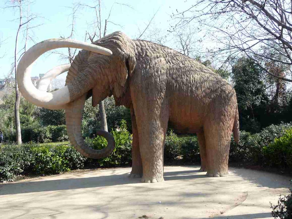 A mammoth in stone Kjell
