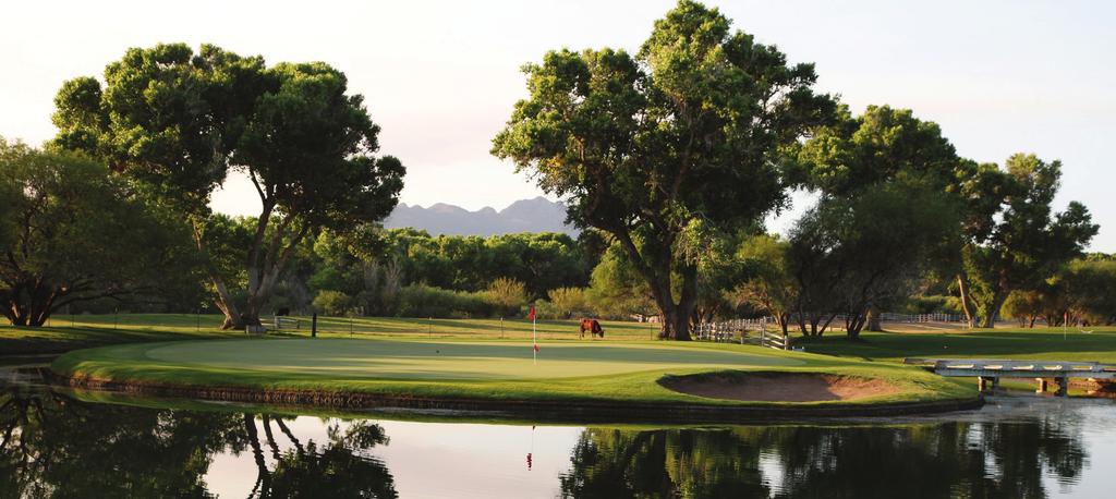 Jaw-Dropping Setting Extravagant Fireworks Celebration! Tubac Golf Resort & Spa and its sponsors team up to bring another fabulous community event to celebrate Independence Day in Southern Arizona.