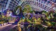 MONDAY, 24 TH OCTOBER 2016 SINGAPORE GUIDED TOUR Time: Enjoy a guided tour from 09:00 18:00 Attire: Comfortable walking shoes and leisure wear are recommended Gardens by the Bay Enter another world