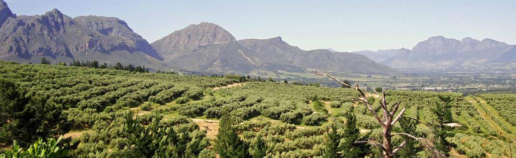 Wine Tastings Half Day Cape Winelands Tour ZAR 870 pp For those with limited time, this tour to the Cape Winelands is offered as a half-day option visiting the historic Stellenbosch and Franschhoek