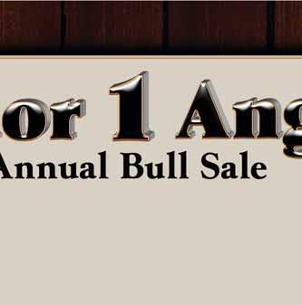 8306 Video Auction Sale In an effort to make things as easy as possible for us hosting the sale and to facilitate the viewing of the bulls without a full sale facility, we have decided to offer a