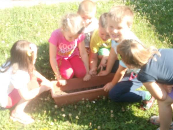 Otroci so bili pozitivno presenečeni in hkrati navdušeni nad rastjo solate, ki so jo sami posejali in skrbeli zanjo.