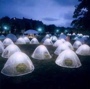 placed in one of these tents.