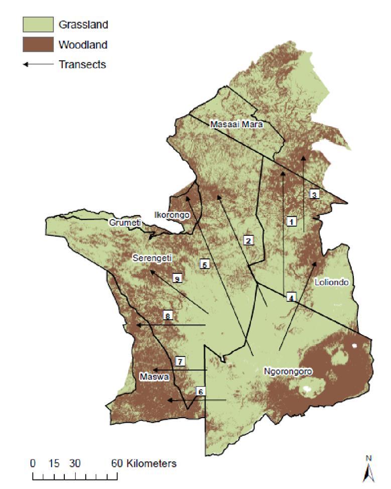 Transect 5 Transect 8 Indicators of grassland to woodland transitions along a spatial gradient in a savanna