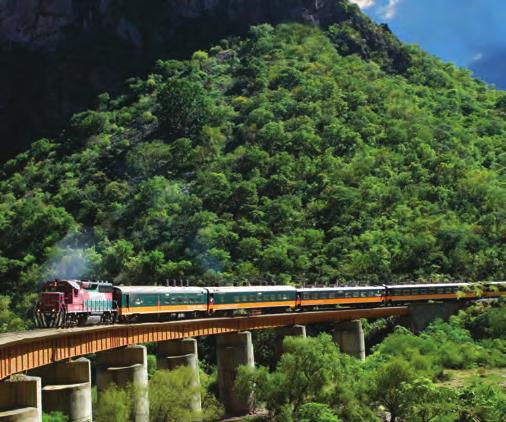 The railroad is 653 km (405 mi) long and has, 37 bridges and 86 tunnels. In this tour, take the time to stop an overnight at least in the stations of Creel, Divisadero or Cerocahui.