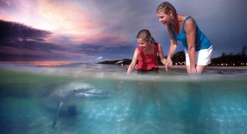 TANGALOOMA DOLPHIN ADVENTURE TOUR APPROXIMATE SCHEDULE FOR WILD DOLPHIN'S SUNSET FEEDING JAN FEB MAR APR MAY JUN JUL AUG SEP OCT NOV DEC 7:15pm 7:00pm 6:30 6:00pm 6:15pm 6:30pm 7:00pm Tour code: BT31
