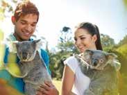 07:30 09:00 Depart Brisbane hotel/transit Centre 10:00 City sights TOUR INCLUDES: Return coach transfers, 45 minute river cruise with Devonshire tea & commentary, Entry to Lone Pine Koala Sanctuary,