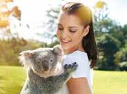 See koalas, kangaroos, Tasmanian devils, wombats, echidnas, reptiles and the oddest creature, the platypus.