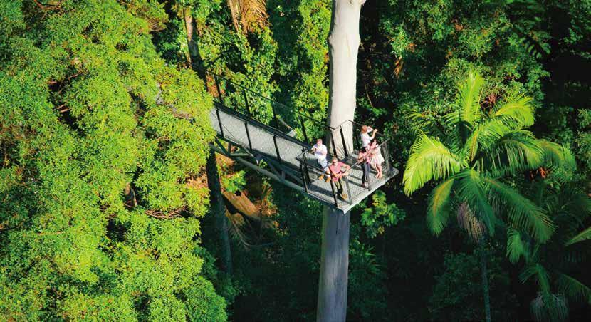 WORLD HERITAGE TOUR & RAINFOREST SKYWALK Tour code: B32 Time: 8:45am - 6:00pm Adult$119 Child$79 Tour code: G32 Time: 8:45am - 5:00pm Adult$119 Child$79 Operates : Tuesday, Saturday Put on your