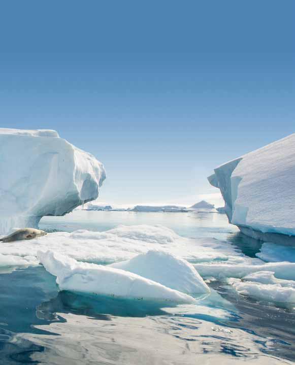 CHAPTER 1 2019-2020 POLAR CRUISES DISCOVER THE ULTIMATE IN LUXURY POLAR EXPEDITION CRUISING