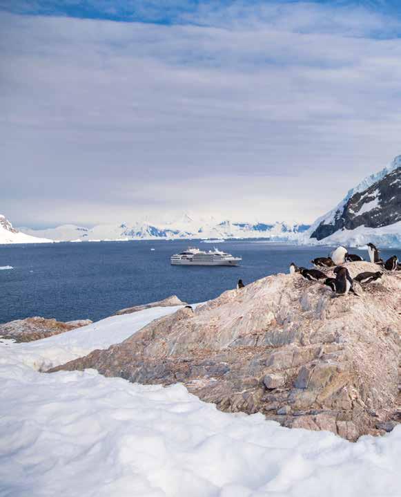 SPECIAL-EDITION VOYAGE ANTARCTIC DISCOVERY: PALMER S BICENTENNIAL EXPEDITION 15 days from $23,195 Jan 16 30, 2020 Limited to 199 guests Visiting Buenos Aires, Ushuaia, South Shetland Islands and