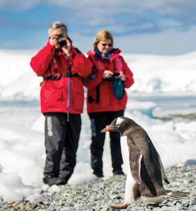 JOURNEY HIGHLIGHTS This celebratory voyage uniquely reveals Antarctica from past to present, taking you on