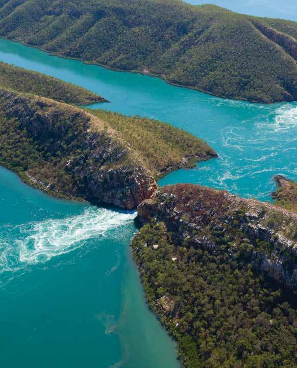 KIMBERLEY CRUISE: AUSTRALIA S LAST FRONTIER June 20 July 2, 2019 13 days from $16,995 Limited to 150 guests Visiting Broome, Lacepede Islands, Horizontal Falls, Mitchell Falls, Hunter River, King