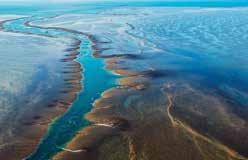 Montgomery Reef: The Kimberley s theme of extreme tides continues at Montgomery Reef, Australia s largest inshore reef. Board Zodiacs to explore the reef system s lagoons, islets and rushing channels.