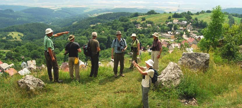 Slovak Karst can recall days when butterflies where common everywhere in this region.