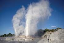 suitable for all ages and comfort levels. Then visit Te Puia Geyser and Maori Cultural Show.