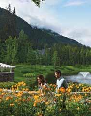 Wilderness Tour Fairbanks City Tour Gold Dredge 8 Riverboat Discovery Rail to Fairbanks Enjoy four captivating n interior destinations over four nights, immersing yourself in s frontier charisma,