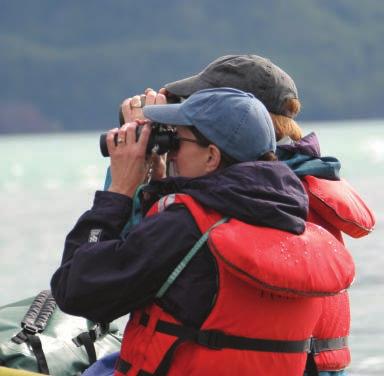 In the summer of 2014, we collaborated on an Alaskan land journey with Alaska Wildland Adventures, the leader in lodge-based programs for the last three decades.