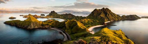 Approximately 5,700 dragons call this stunning part of Indonesia home, with the largest population occurring on Komodo Island (about 2,000 individuals).