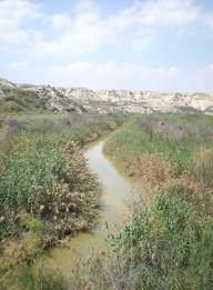 River Jordan: An International Tourist Destination?