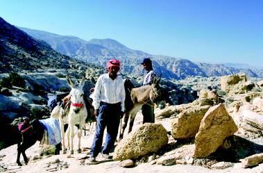 Petra as Paradigm nomad s first regular six-days-trekking-tour with pack animals started as early as 1997.