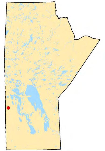 Swan River Classification: Recreation Park Landscape Description: This small park is located in the Interlake Plain portion of the Manitoba Lowlands Natural Region, located just north of the town of