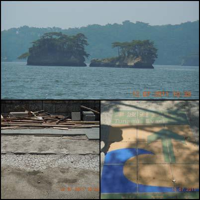 The tsunami height at Matsushima was about 1-3m and that at Onagawa was about 40m at a maximum and it caused heavy damage.