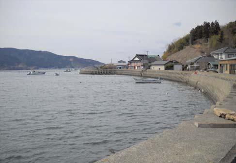 Tohoku Chapter, Architectural Institute of Japan Reconnaissance Report (16) on Mangoku-ura and Onagawa-cho The 2011 off the Pacific Coast of Tohoku Earthquake Released on April 15, 2011 Disaster