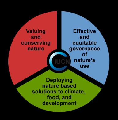 The IUCN