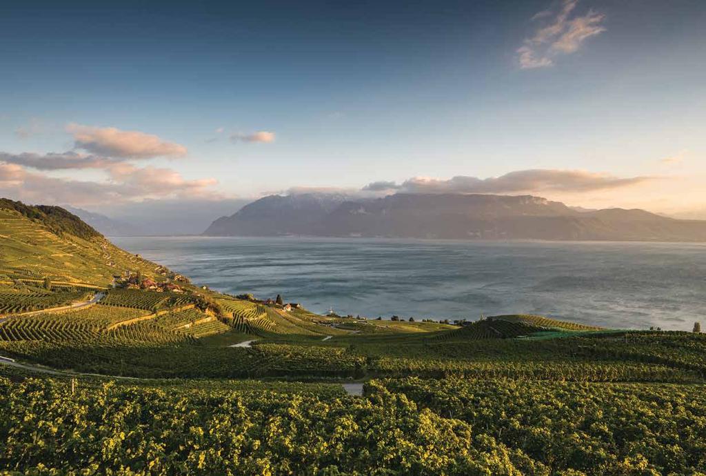 The Lavaux UNESCO Region SUMMER Sublime Moments in Summer Create timeless memories on this Lake & Alps experience in Montreux and the Lavaux Region.