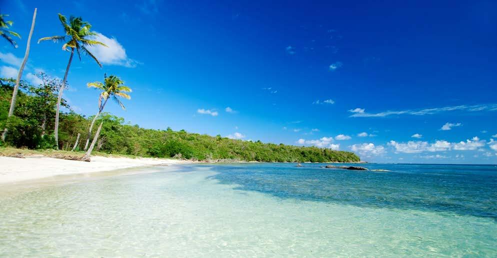 CONTENTS Welcome to Bacolet Bay Beach Resort & Spa - Grenada 3 Grenada 5