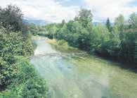 Reka, ki povezuje tri občine Kamnik, kjer izvira, Domžale in Dol pri Ljubljani, kjer zaključuje svojo pot kot Kamniška Bistrica predstavlja življenje, kjer se prepletajo zgodbe, življenjski prostor