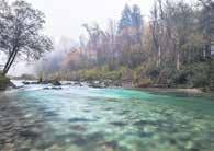 Kamniška Bistrica je sicer najbolj urbanizirana reka v Sloveniji, ki s svojim sistemom mlinščic predstavlja zeleno os regije s pomembno ekološko in rekreacijsko funkcijo ter svojo pot zaključuje na