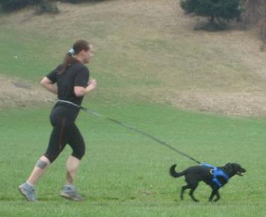 dejavniki. Tudi rekreativni tekači se s svojim psom lahko udeležijo tekem v vleki.
