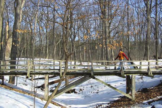 94 60 hikes within 60 miles: chicago Winter at the Morton Arboretum is a good time to look for animal tracks.