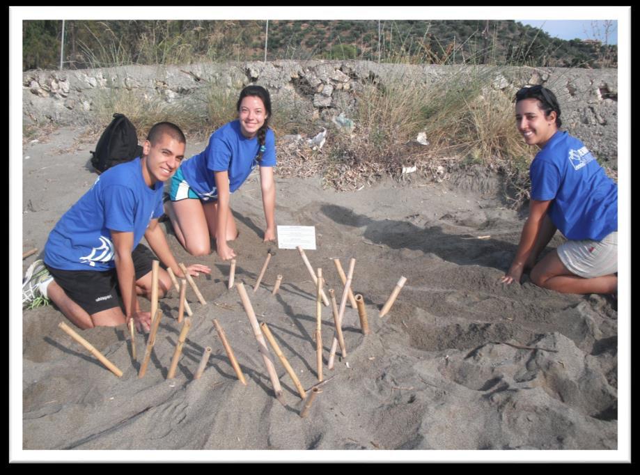 volunteering You will assist the Archelon team with the