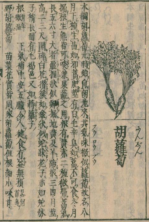 Origin of Kuroda type -WakanSansaiZue( 和漢三才図会 )- - Published in 1712, - The most famous old encyclopedia in Edo Era, Comprised 105 volumes - By Ryoan