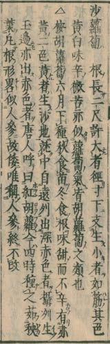 Source; National Diet Library, Japan - 胡蘿蔔 (KoRafuku)= PercianRadish (Daikon) - 2 types in length 1) 5-6 sun type ; 15-18cm long 2) 2 syakutype; 60cm