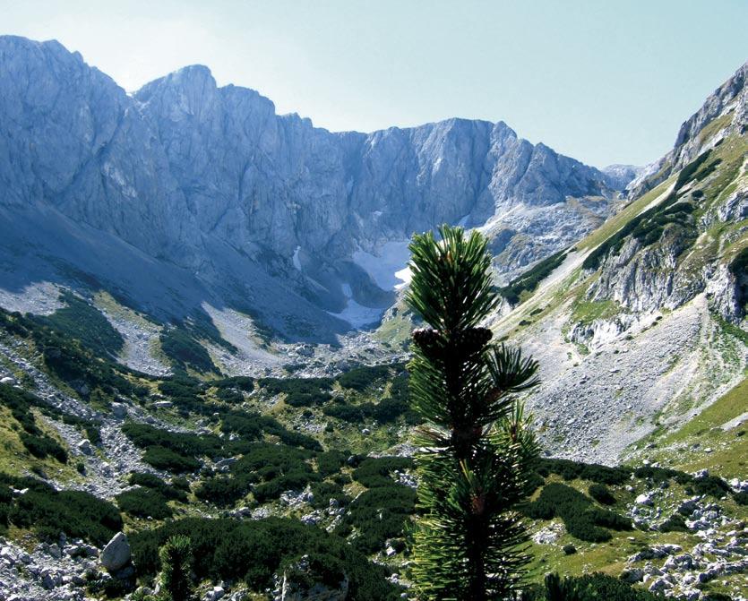 The 2010 Biodiversity Target Intervention by the World Heritage Committee has helped protect Durmitor National Park (Montenegro) from debilitating infrastructure development.