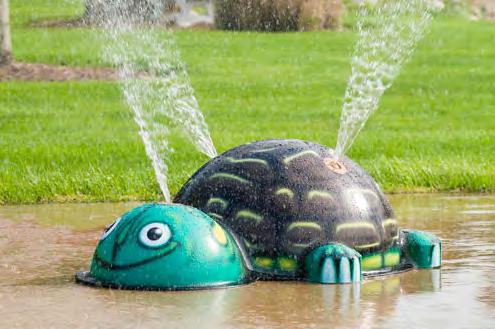 Look who beat the rabbit to the spray park... the turtle!