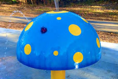 mushroom You certainly won t mind having these mushrooms in your backyard! Bring a dazzling display of color to your aquatic play area with My Splash Pad 24 Mini Mushroom water play features.