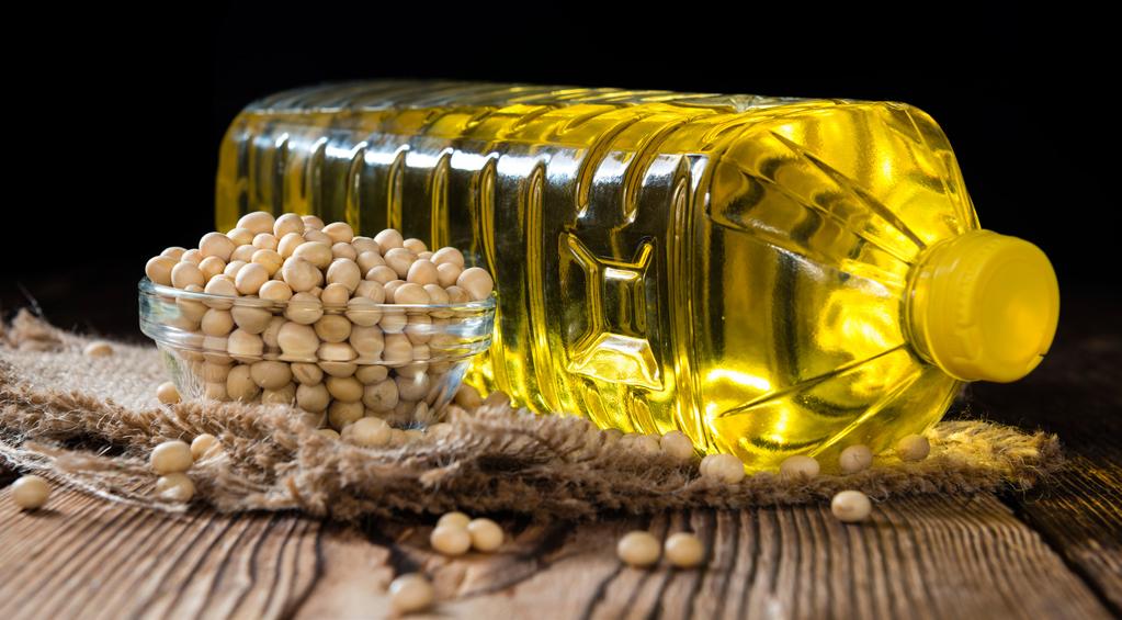 Appendix 8 Soybean Oil Exports to World by SLC Member States