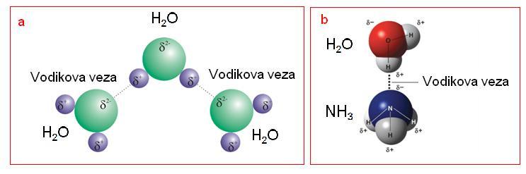 Slika 11.7. Vodikova veza: a) između molekula vode; b) između molekula vode i amonijaka (E. Generalic, https://glossary.periodni.com/glosar.php?hr=vodikova+veza) (06.9.2017.) (http://bio1151.nicerweb.