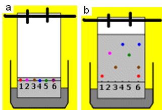 Kromatografija je metoda odvajanja koja se zasniva na različitoj raspodjeli komponenata smjese između dviju faza, od kojih je jedna nepokretna (stacionirana), a druga pokretna (mobilna).