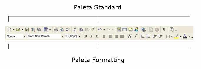 Visoka poslovna škola strukovnih studija, Novi Sad Palete se intenzivno koriste prilikom kreiranja datoteka pomoću FrontPagea. Palete sadrže ikone dok linija menija sadrži samo imena menija.