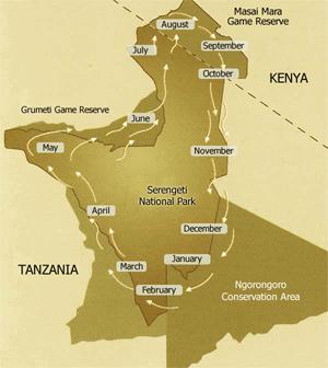ITTB/02 Tembo Safari: 9DAYS/8NIGHTS Itinerary Summary: Special to friends of nature, accommodations base on tents 1 night at Manyara, 3 nights Serengeti, 1 night Ngorongoro, 2 nights Tarangire,