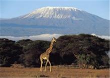 Arrive: 14 Aug 2014 Depart: 16 Aug 2014 2 nights (all meals) Ol Tukai Lodge Ol Tukai Lodge is located in the Amboseli National Park and provides 80 luxury chalet-style twin rooms all having private