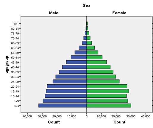 The age-sex population pyramid can also be used as a tool in evaluating the age-sex composition of the population.
