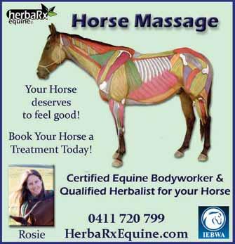 at the best health from grass and supplementary feeds alone. Rosie Bason of Herba-RX Equine specialises in herbal remedies for horses and has achieved some amazing results for her client s steeds.