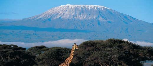 Kilimanjaro Visit remote Maasai villages and the bushmen of Lake Eyasi Visit the ancient trading post of Zanzibar Serengeti Balloon Ride (optional) Kilimanjaro Day 1: Arrive in Arusha/ Kilimanjaro